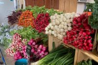 Les paniers de légumes des fermiers de l’Estrie sont encore disponibles
